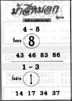 ม้าสีหมอก-16-11-67